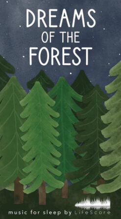 Dreams of the Forest