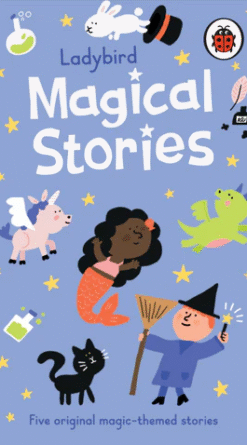 Ladybird Magical Stories