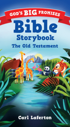 God's Big Promises Bible Storybook Pack