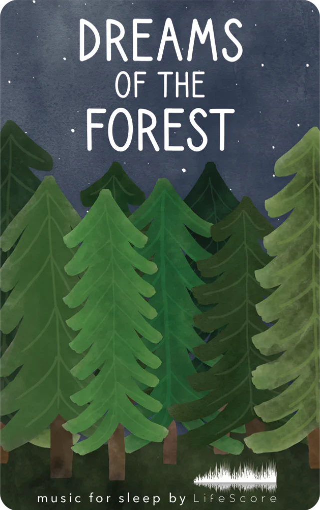 The Dream Collection - Image 5