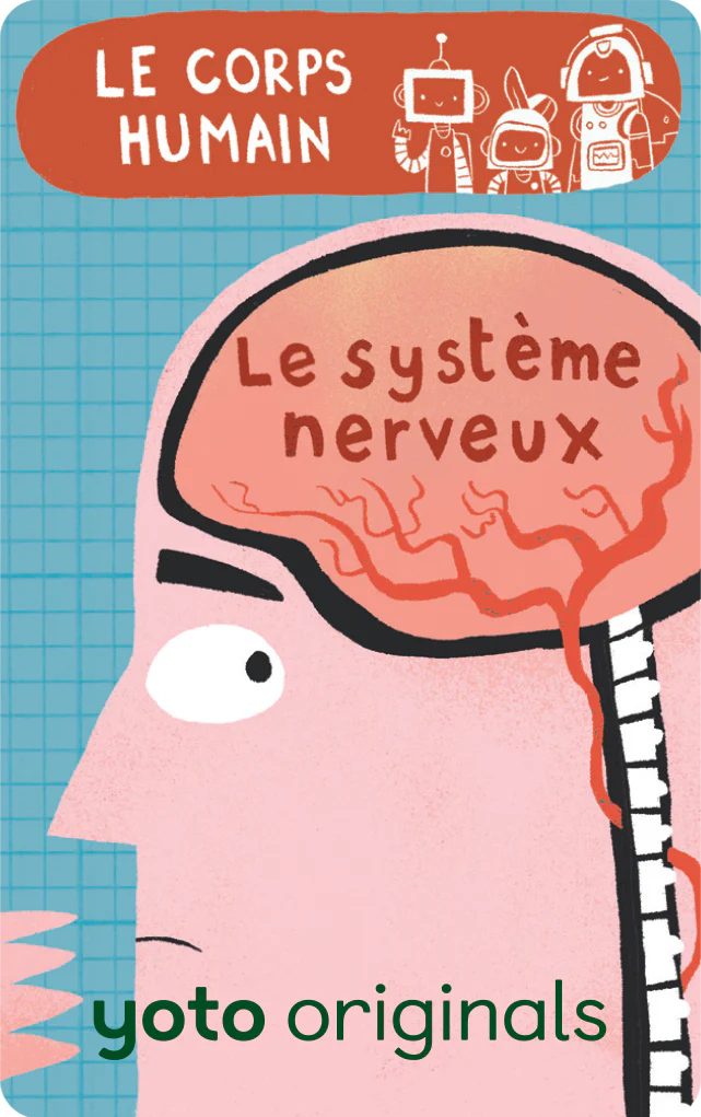 Explorobots : Le corps humain - Image 4