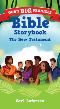 Alternative view of God's Big Promises Bible Storybook Pack