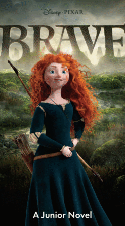 Disney Junior Novels Princess bundle