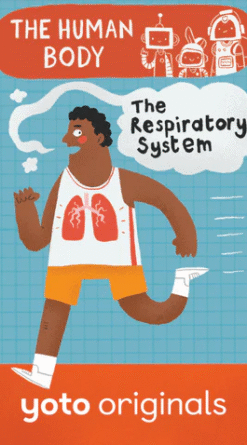 The Human Body: The Respiratory System