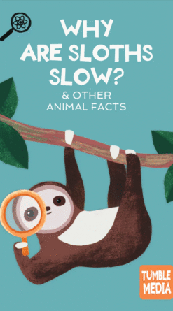 Tumble: Animal Facts, Critter Curiosities & Gross Science Pack