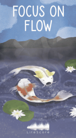 The Focus Collection