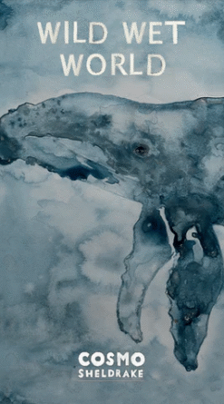 Wild Wet World (Digital)