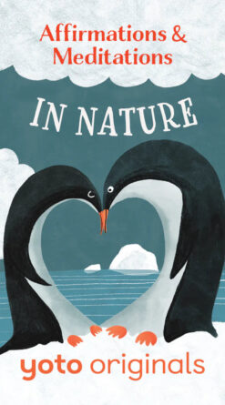 Alternative view of Affirmations and Meditations Pack